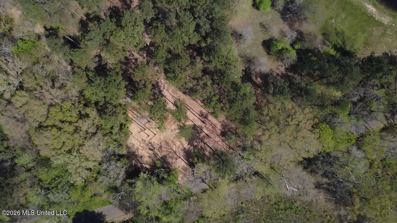 1256 Barnes Road Canton, MS 39046 - Photo 4 of 27 AJTT3029