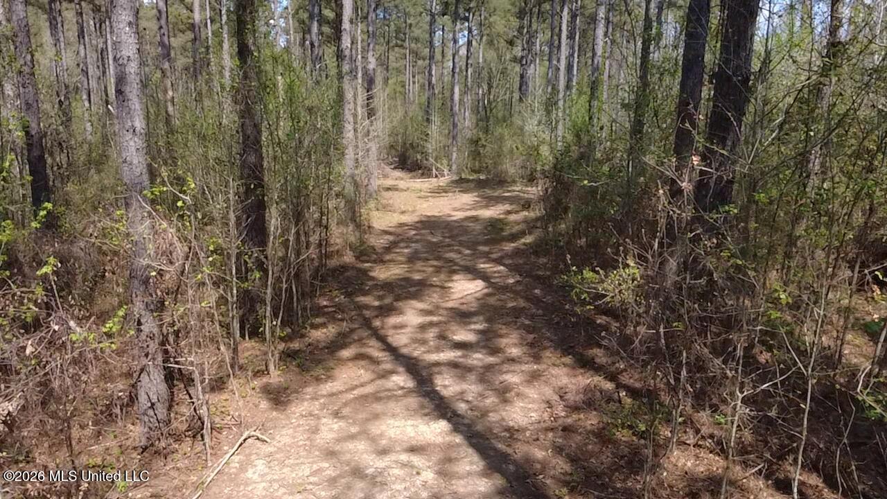 1256 Barnes Road Canton, MS 39046 - Photo 5 of 27 BWWX1886