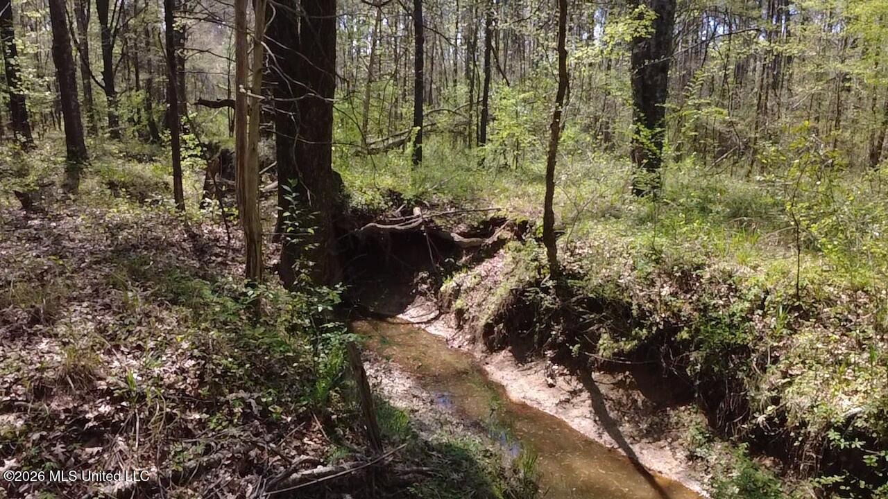 1256 Barnes Road Canton, MS 39046 - Photo 6 of 27 FAIA1817