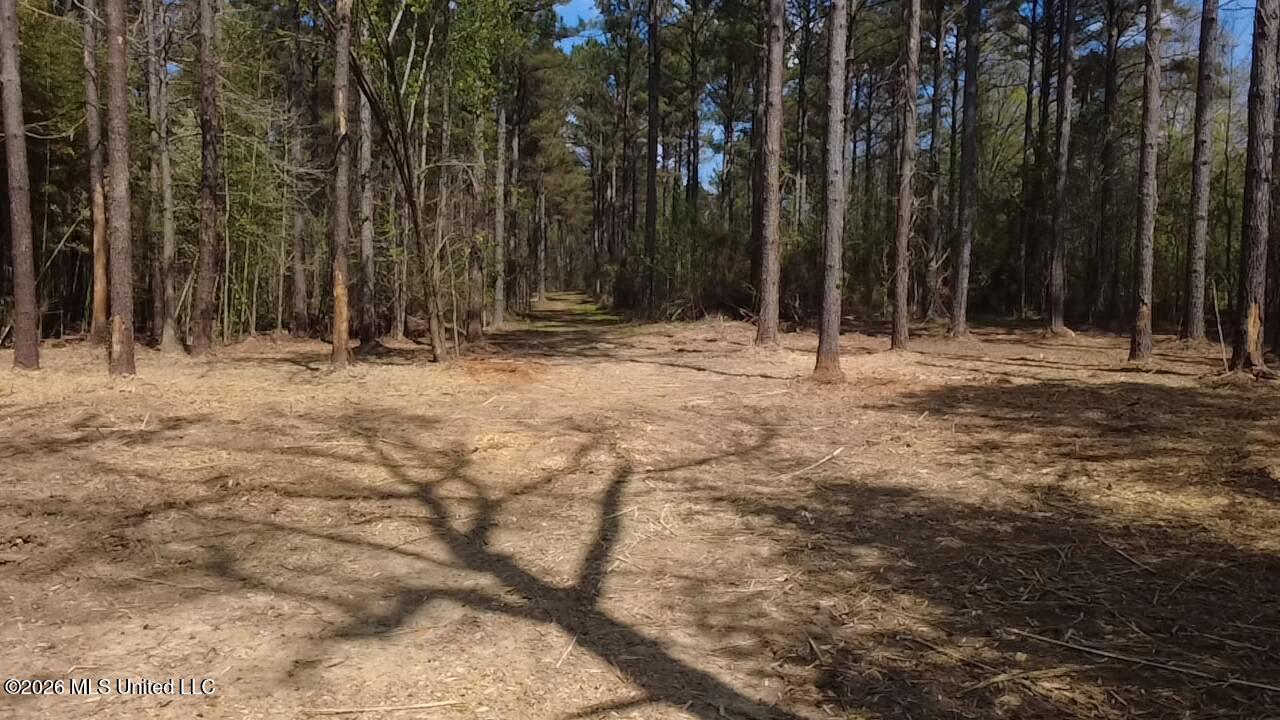 1256 Barnes Road Canton, MS 39046 - Photo 7 of 27 FFTN0924