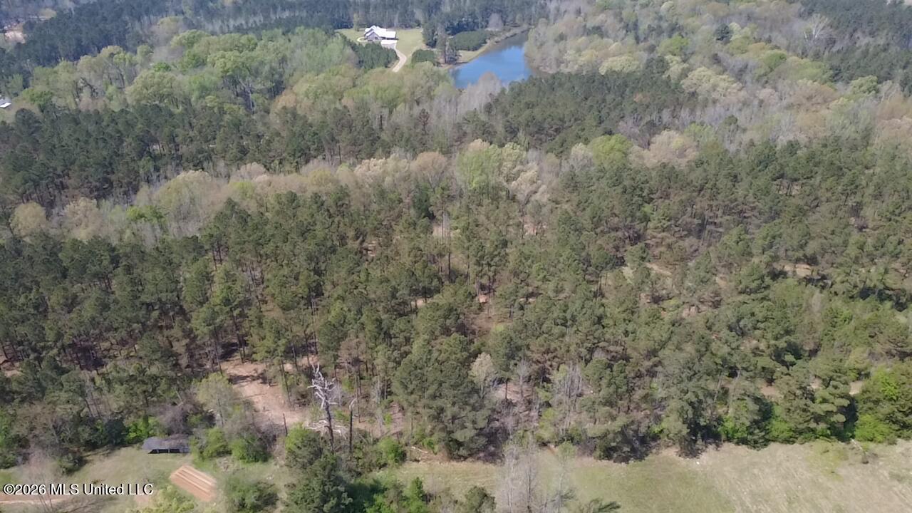 1256 Barnes Road Canton, MS 39046 - Photo 8 of 27 HAAW9126