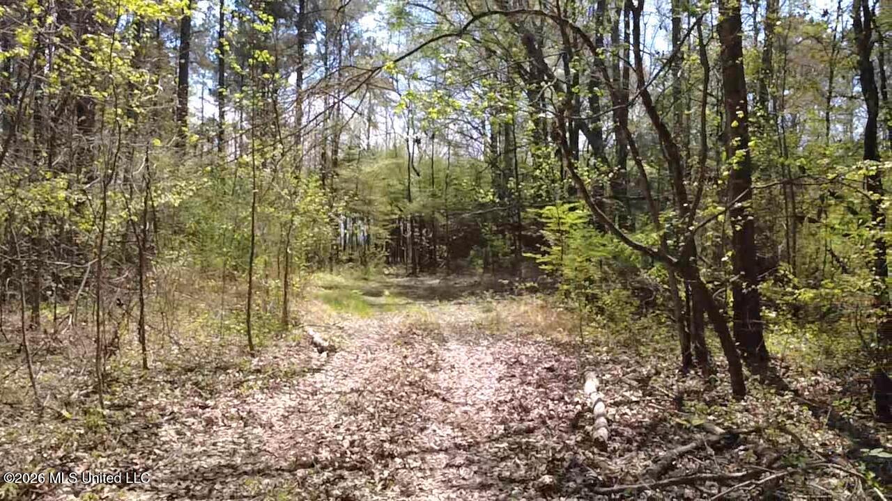 1256 Barnes Road Canton, MS 39046 - Photo 9 of 27 IQLL5549