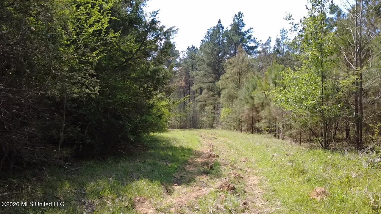 1256 Barnes Road Canton, MS 39046 - Photo 10 of 27 IXBC3554