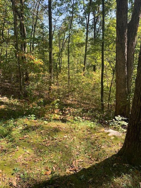9999 Marcum Road McKee, KY 40447 - Photo 36 of 57 Listing Photo