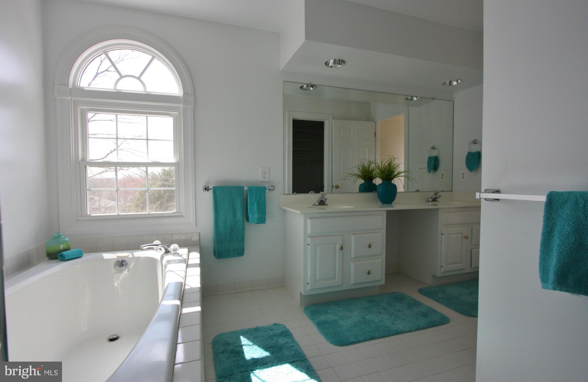 9228 Bretton Reef Road Baltimore, MD 21234 - Photo 20 of 30 Bath (Master)