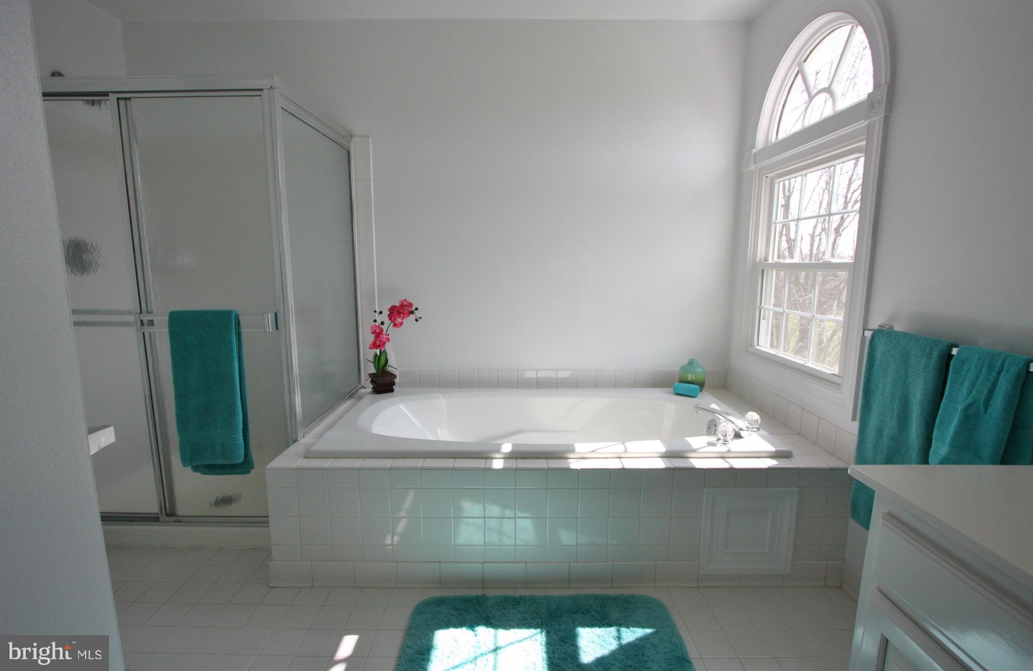 9228 Bretton Reef Road Baltimore, MD 21234 - Photo 21 of 30 Bath (Master)