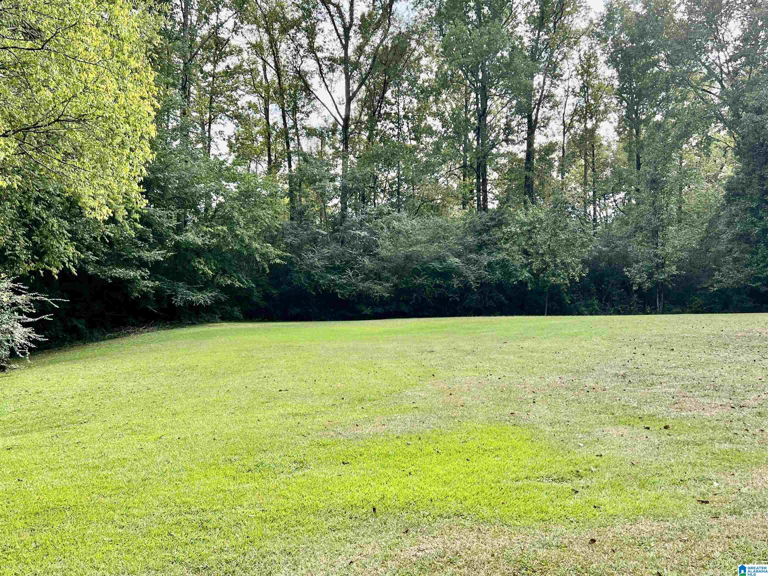 1565 Brackett Loop Road Mount Olive, AL 35117 - Photo 11 of 28 Gallery Image 11