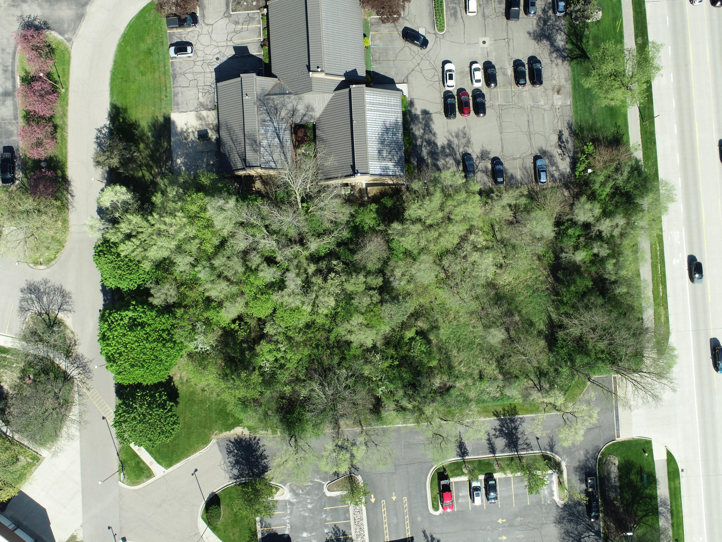 41628 Six Mile Road Northville, MI 48168 - Photo 18 of 18 The BENEFIT of this Commercial Lot (16)