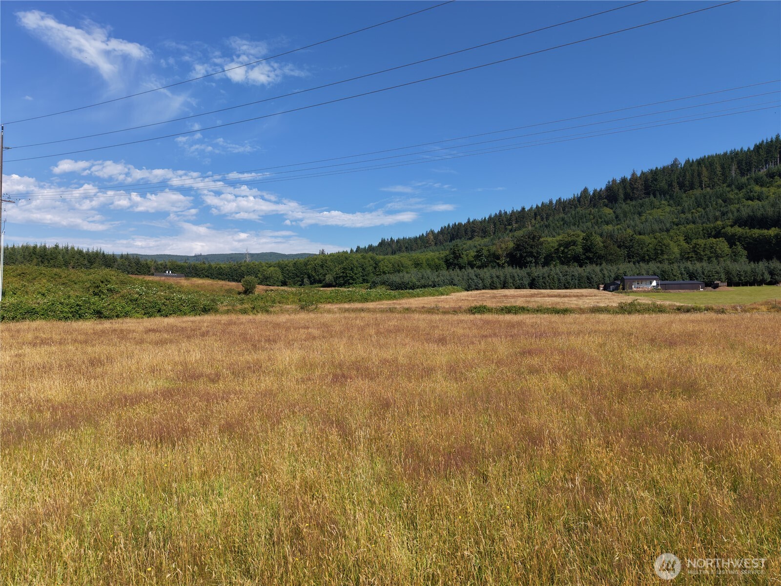 134 Dancing Elk Road Beaver, WA 98305 - Photo 1 of 14 Gallery Image 1