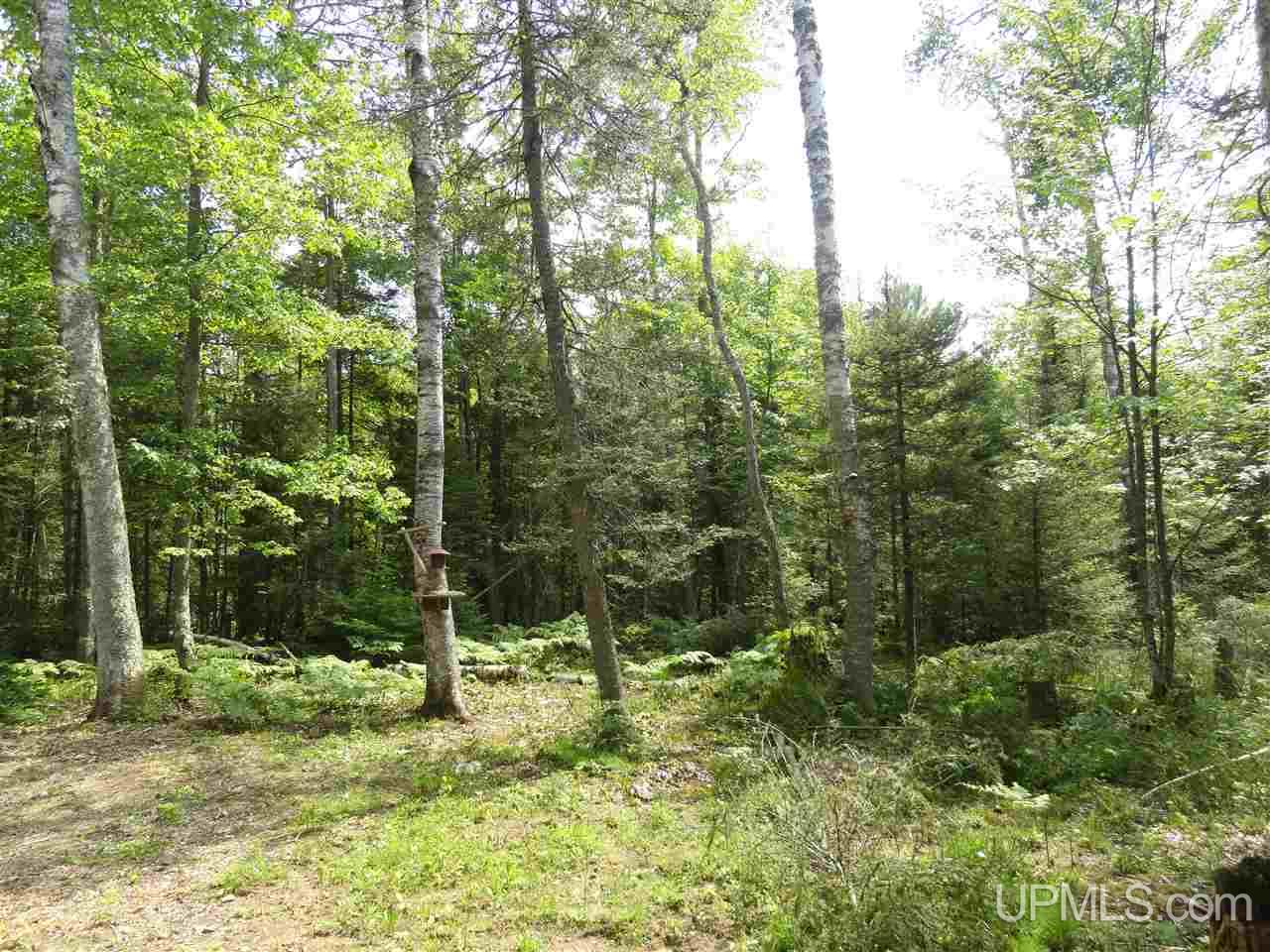 1890 South Helen Lake Road Ishpeming, MI 49849 - Photo 14 of 19 Gallery Image 14