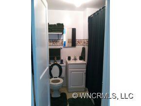 250 Cathey Road Candler, NC 28715 - Photo 17 of 18 Gallery Image 17