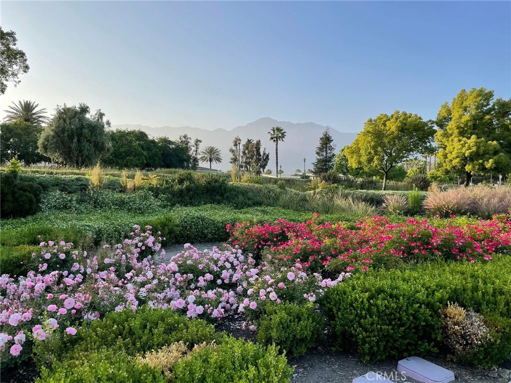 10375 Church Street, Unit 85 Rancho Cucamonga, CA 91730 - Photo 68 of 72