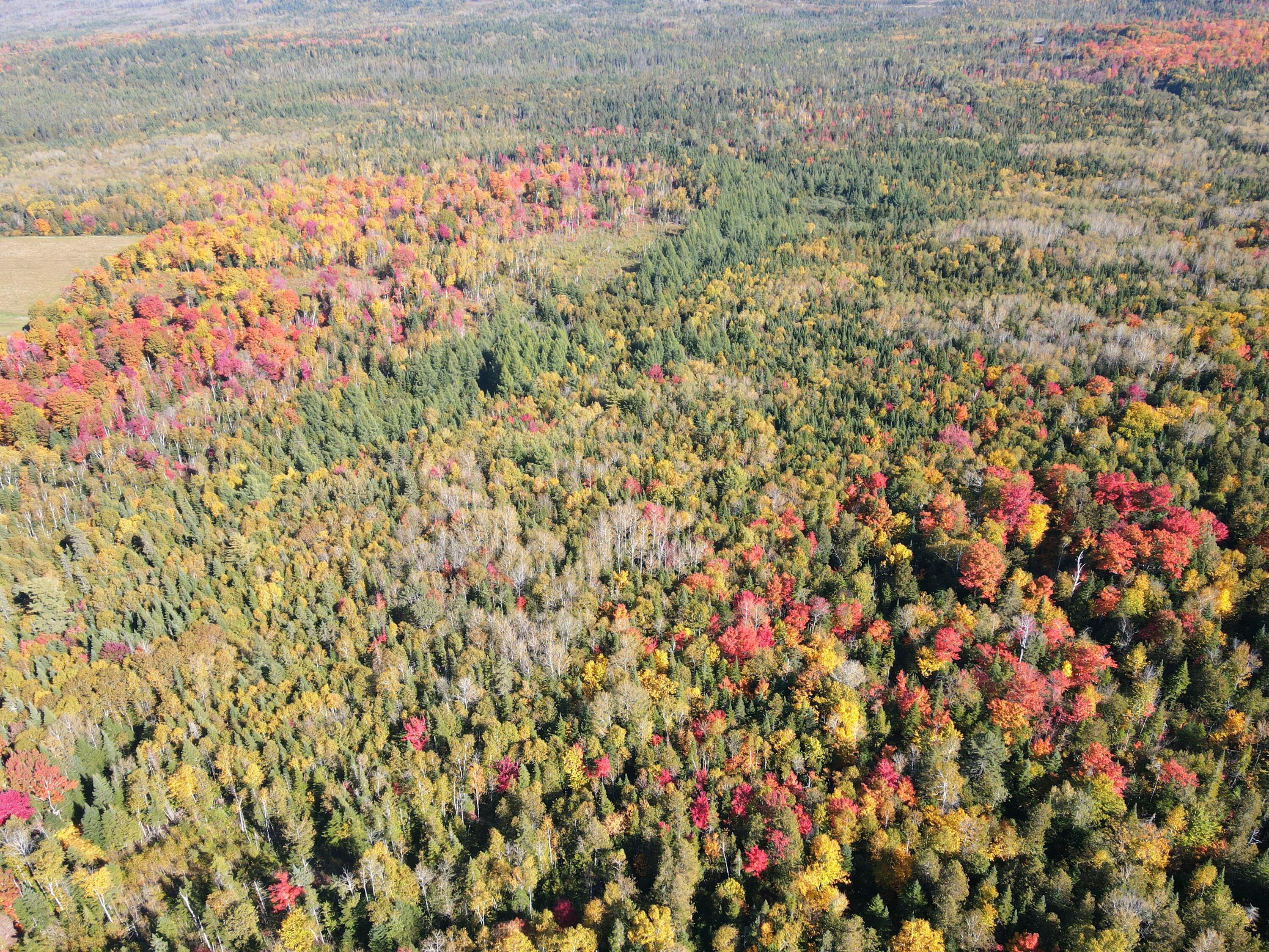 Lot 97 New Sweden Road New Sweden, ME 04762 - Photo 11 of 26 IMG_2779