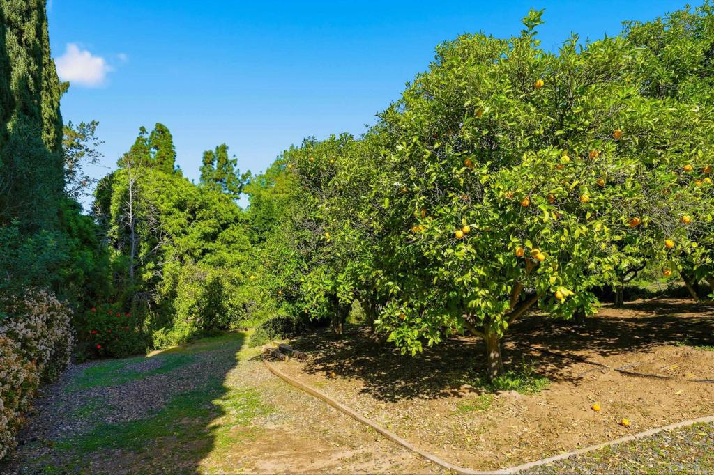 1003 Vía Unidos Fallbrook, CA 92028 - Photo 46 of 56