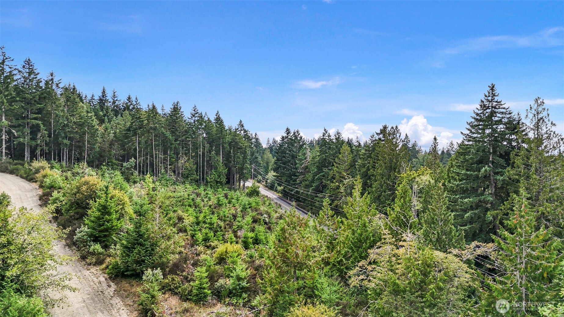 0 East Thornton Road Shelton, WA 98584 - Photo 3 of 8 a view of a city with lush green forest