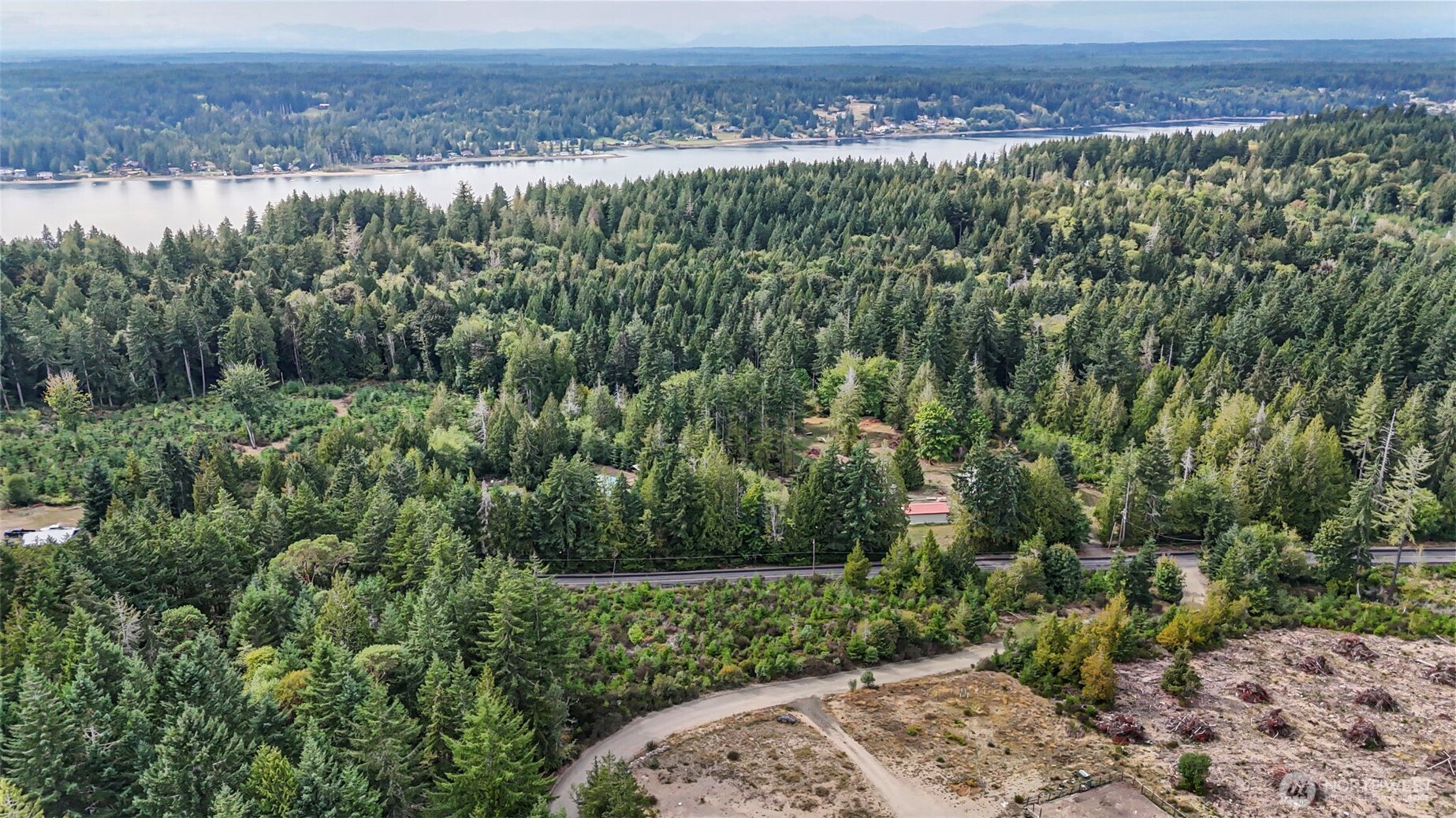 0 East Thornton Road Shelton, WA 98584 - Photo 5 of 8 a view of a forest with a street and a yard