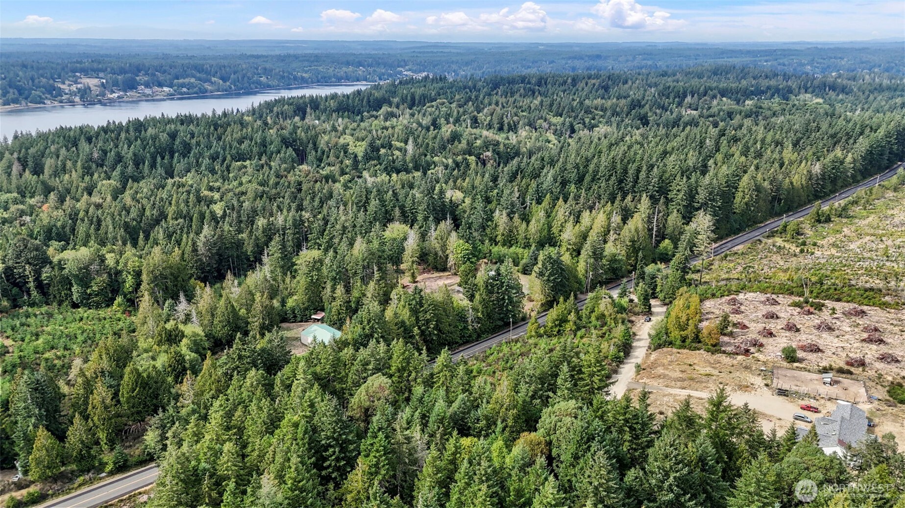 0 East Thornton Road Shelton, WA 98584 - Photo 6 of 8 a view of a green field with lots of bushes