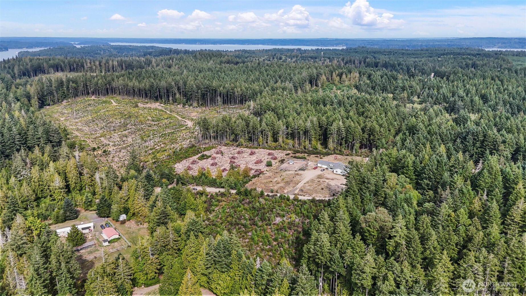 0 East Thornton Road Shelton, WA 98584 - Photo 7 of 8