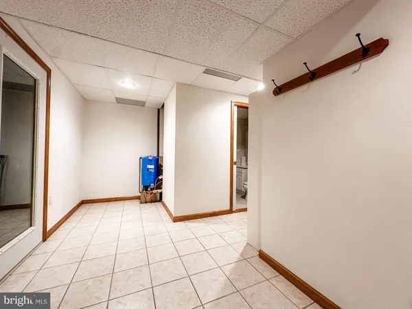 a view of a yard with plants and large trees