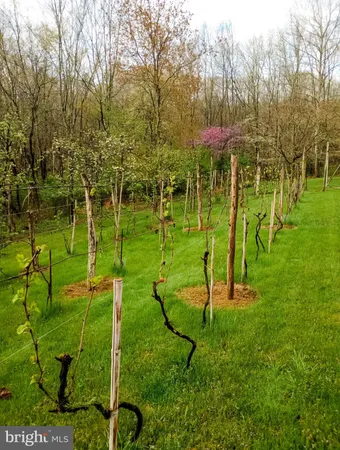 $325,000 | 16805 Jericho Ln Mount, Mount Savage, MD 21545