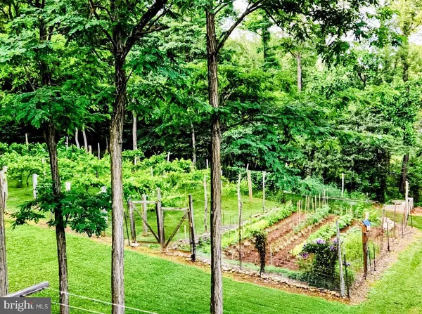 $325,000 | 16805 Jericho Ln Mount, Mount Savage, MD 21545