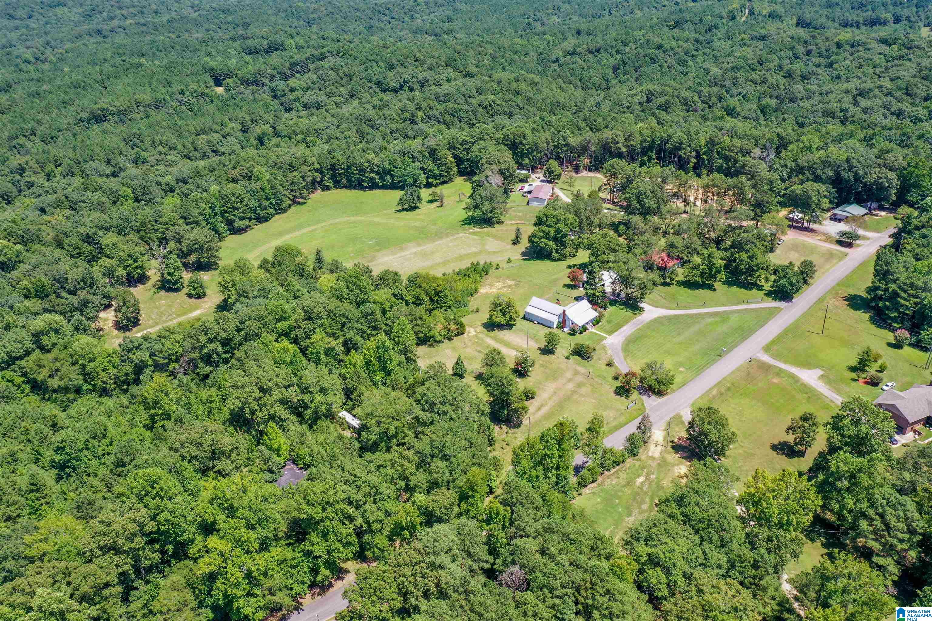 939 Buddy Vines Camp Road Bessemer, AL 35023 - Photo 63 of 79