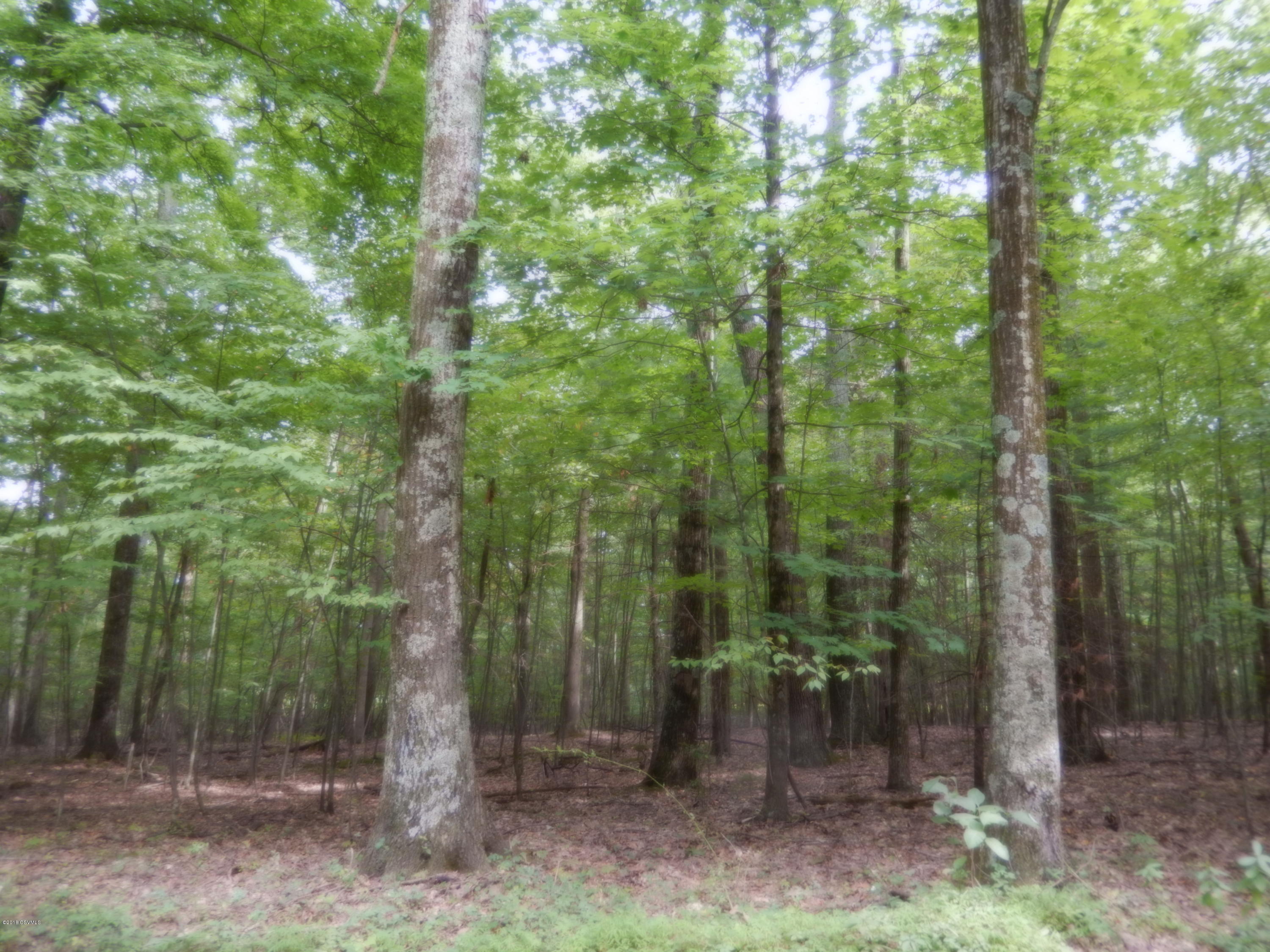 North Bendertown Road Stillwater, PA 17878 - Photo 3 of 6 Gallery Image 3