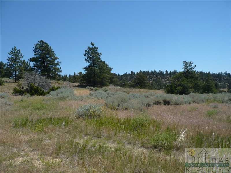 Tbd Selms Road Bridger, MT 59014 - Photo 1 of 1 Land/Lot.