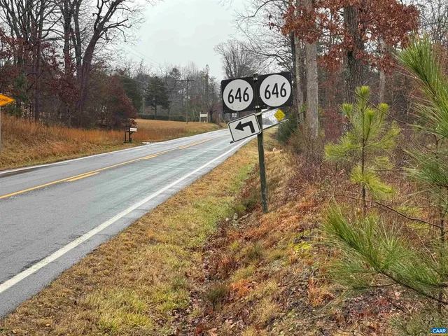 a view of a yard with large trees