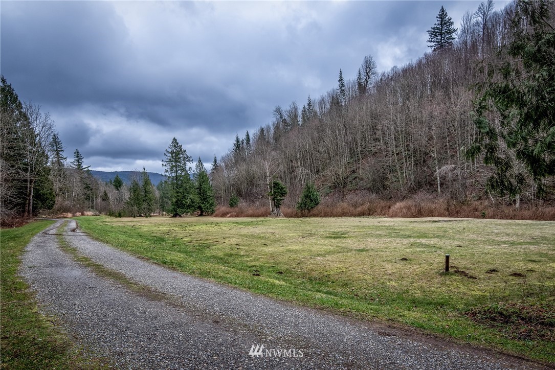 9075 Kendall Road Sumas, WA 98295 - Photo 22 of 26 a view of a field with trees in background
