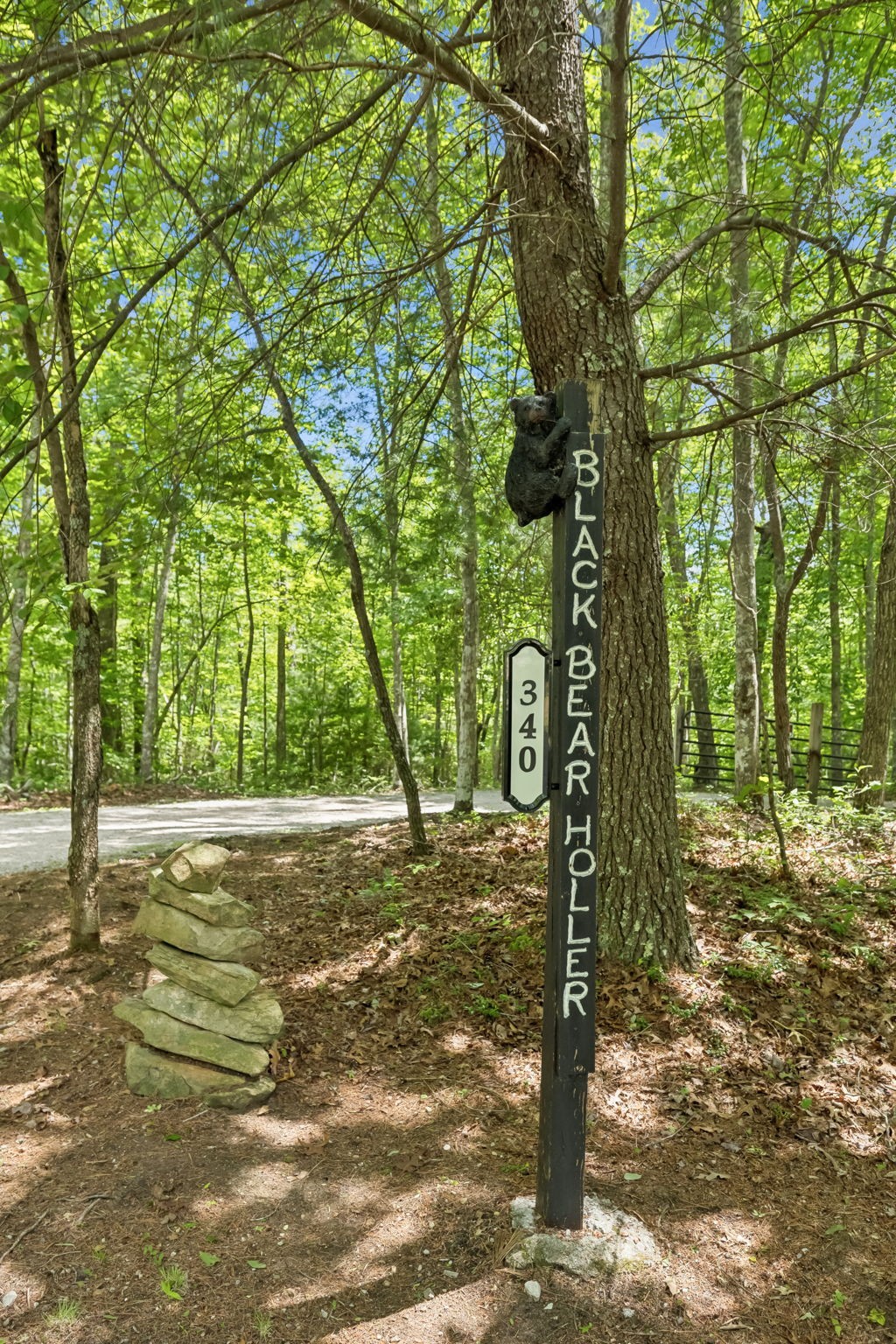 340 Doe Ridge Road Oneida, TN 37841 - Photo 2 of 99