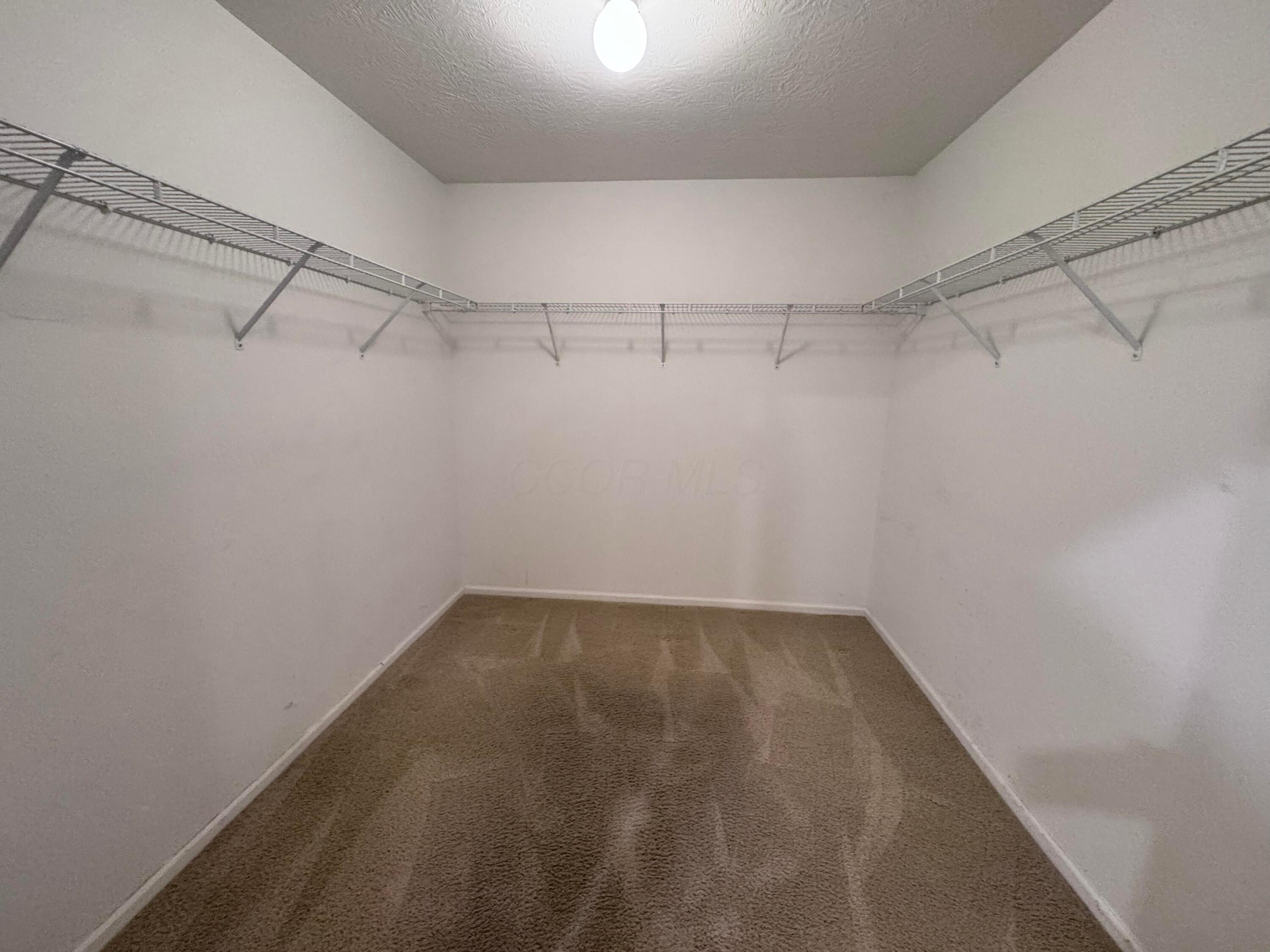 412 Charles Spring Drive Powell, OH 43065 - Photo 15 of 25 Owners suite walk in closet