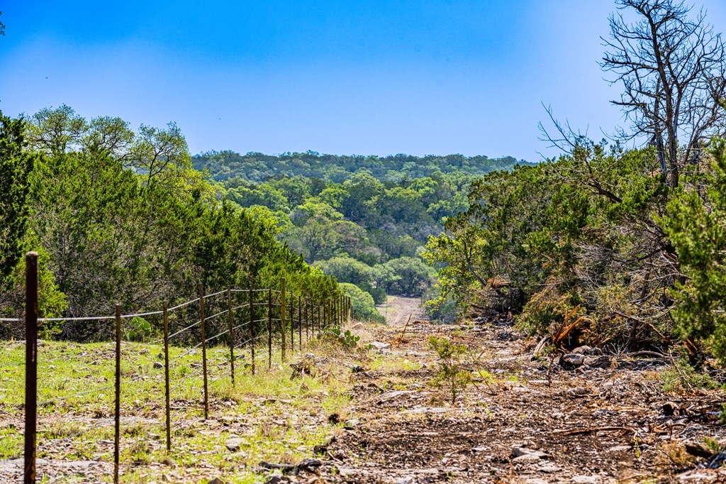 0 West Other Hunt, TX 78024 - Photo 13 of 14 a view of a yard