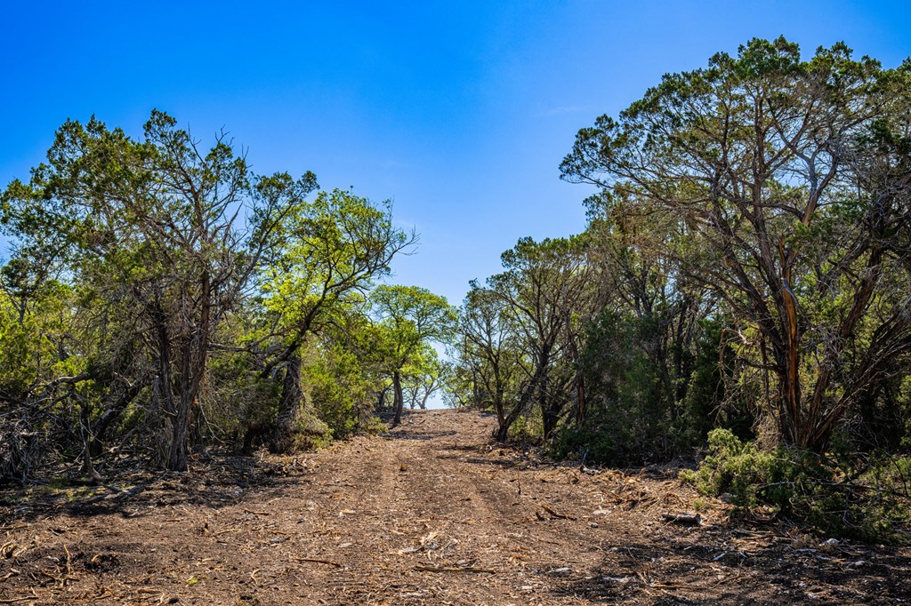 0 West Other Hunt, TX 78024 - Photo 2 of 14 a view of a forest with trees in the background