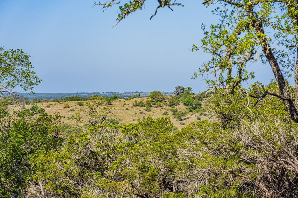 0 West Other Hunt, TX 78024 - Photo 4 of 14