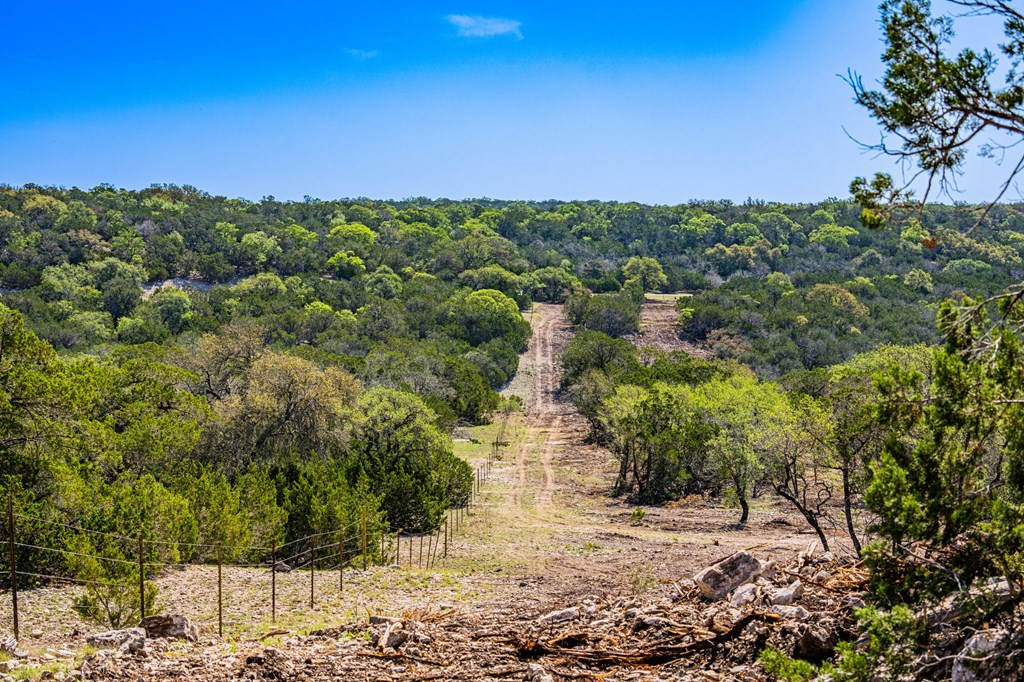 0 West Other Hunt, TX 78024 - Photo 6 of 14 a view of a yard with a tree