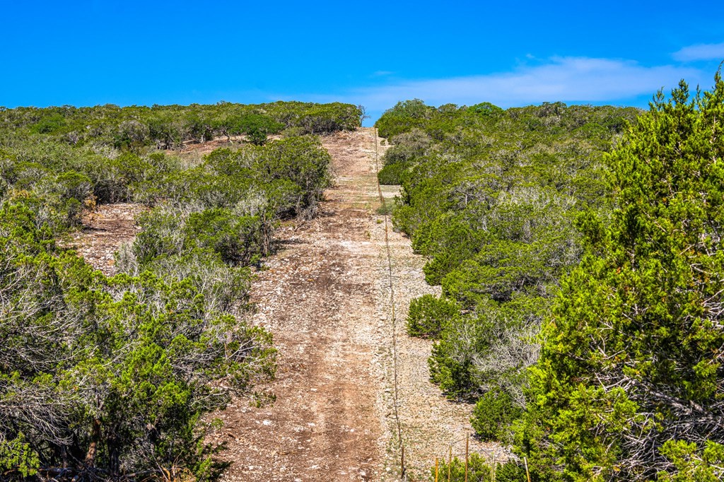 0 West Other Hunt, TX 78024 - Photo 7 of 14 a view of a garden with mountains in the background