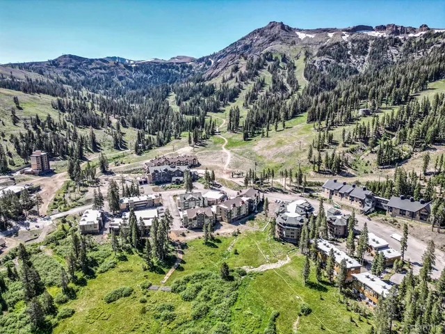 a view of a lush green field