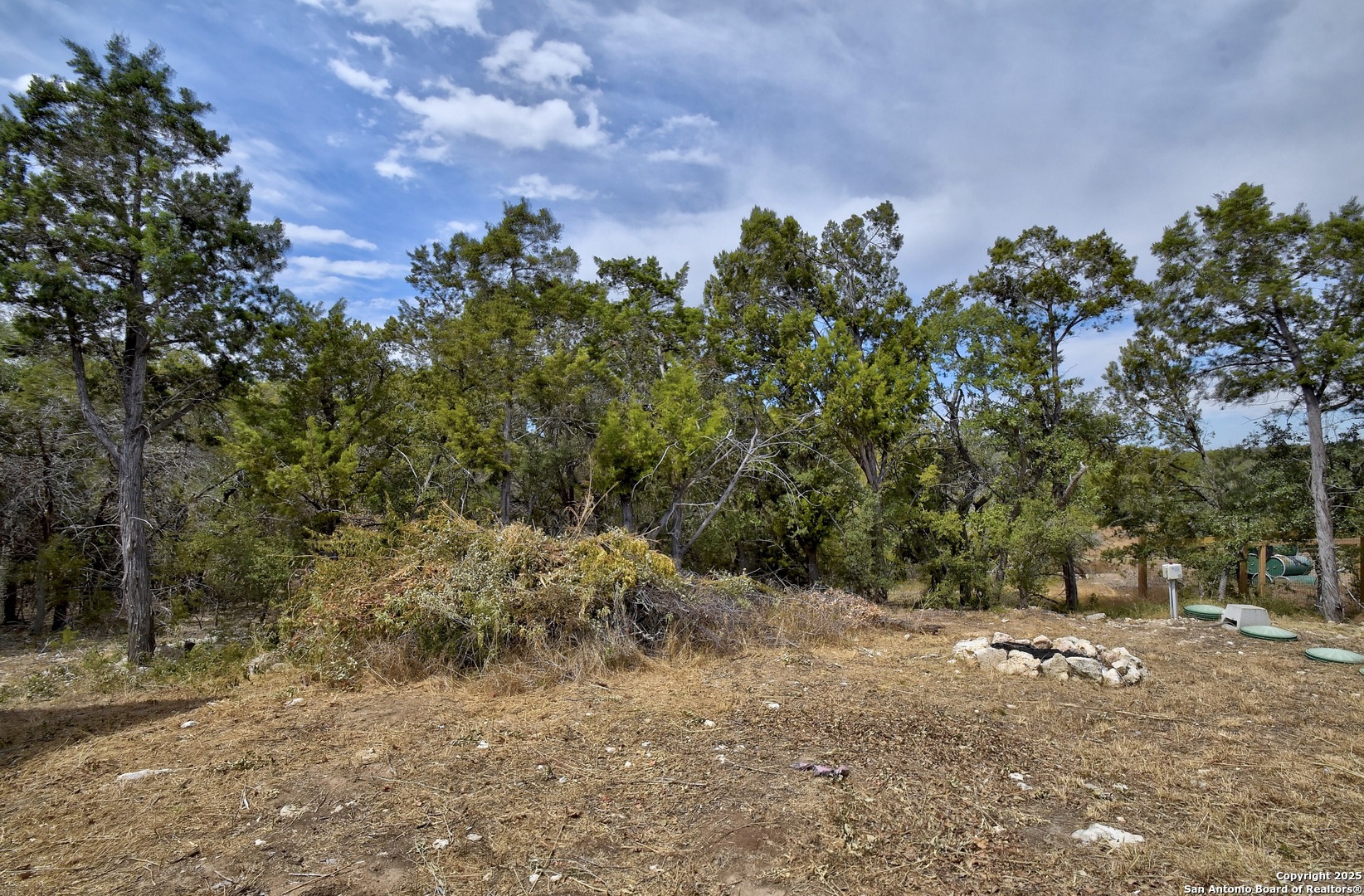 1010 Persimmon Pass Fischer, TX 78623 - Photo 22 of 26 a view of a tree in a yard