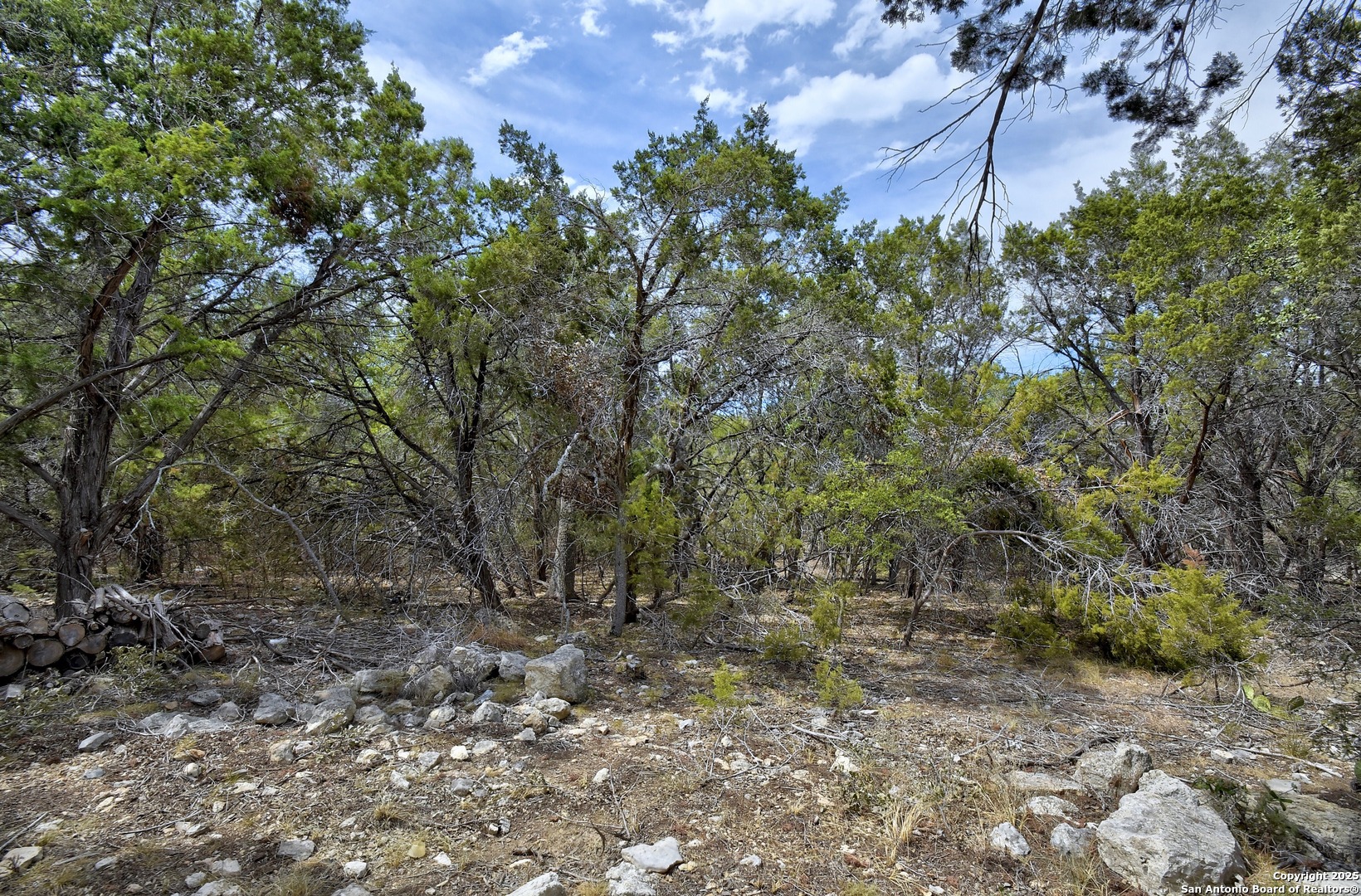 1010 Persimmon Pass Fischer, TX 78623 - Photo 24 of 26 a view of a forest with trees in the background