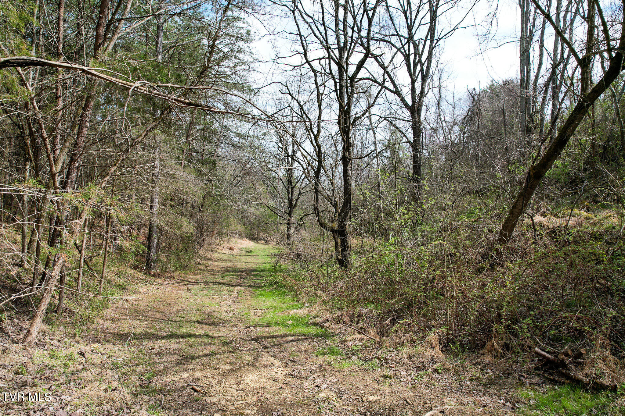 480 Obe Kirk Loop Mohawk, TN 37810 - Photo 48 of 54 DJI_0182
