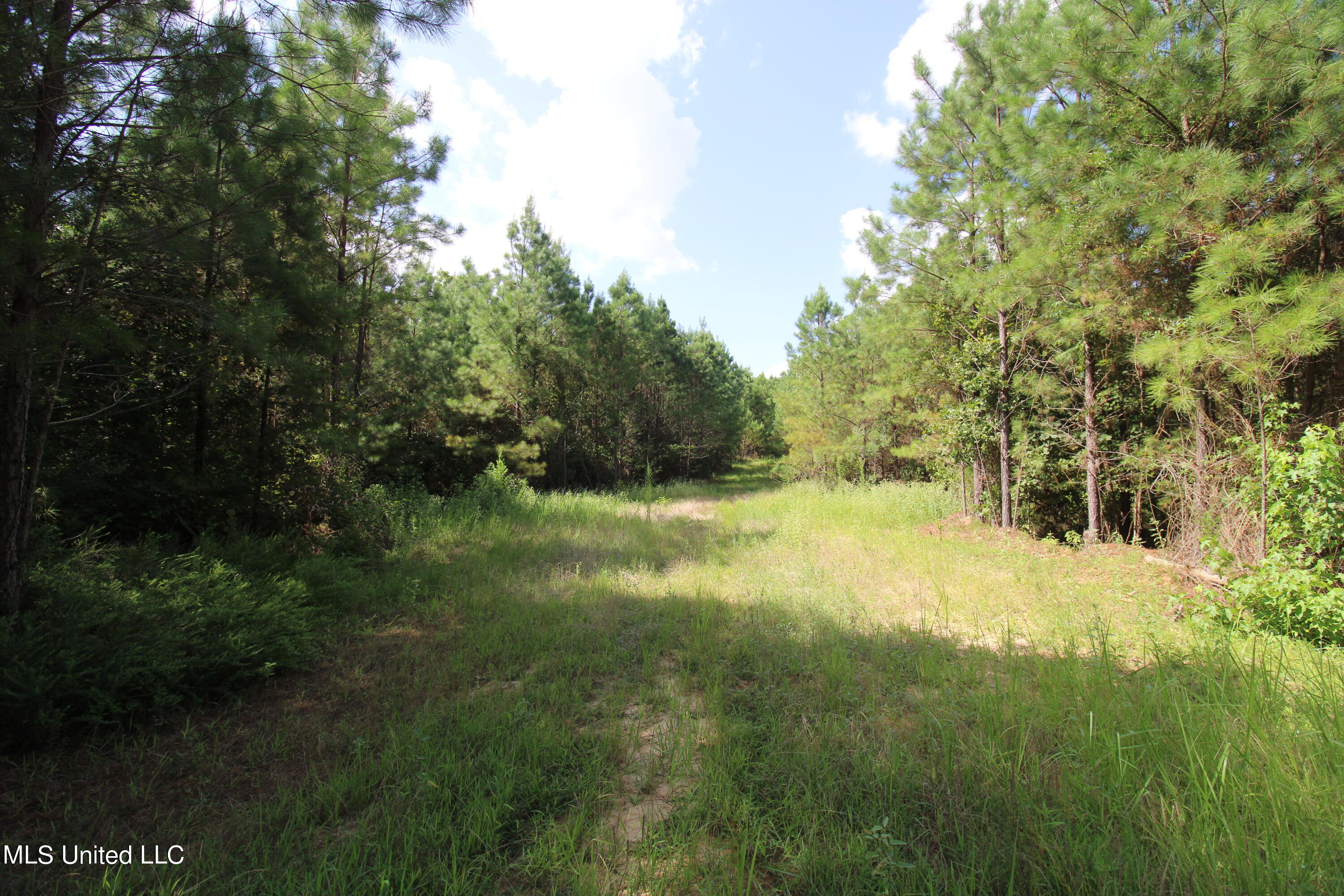 1832 Fort Hill Road Grenada, MS 38901 - Photo 11 of 41 IMG_2486