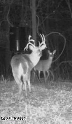 1832 Fort Hill Road Grenada, MS 38901 - Photo 12 of 41 IMG_5264~photo-full