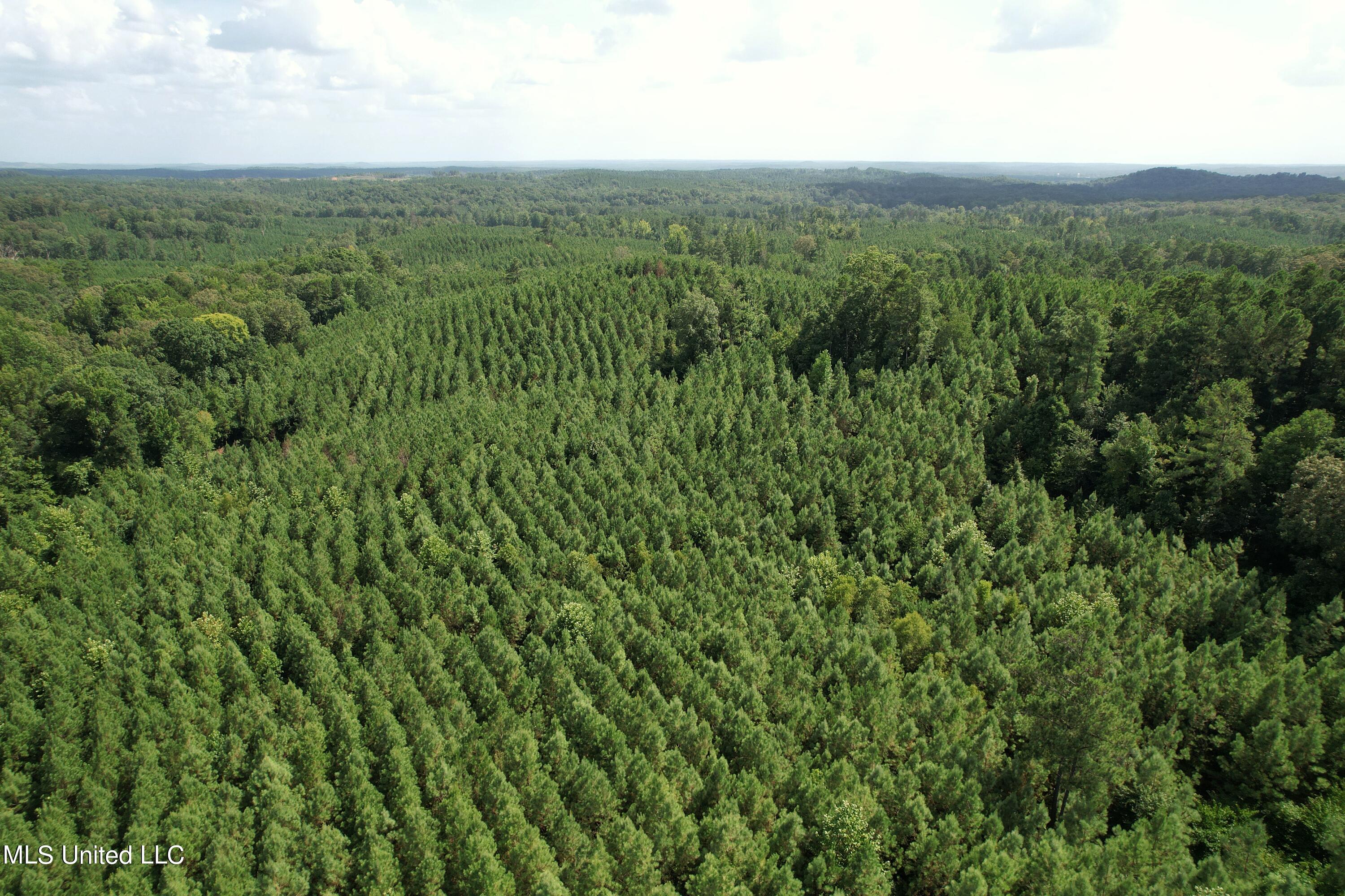 1832 Fort Hill Road Grenada, MS 38901 - Photo 14 of 41 DJI_0753 (3)