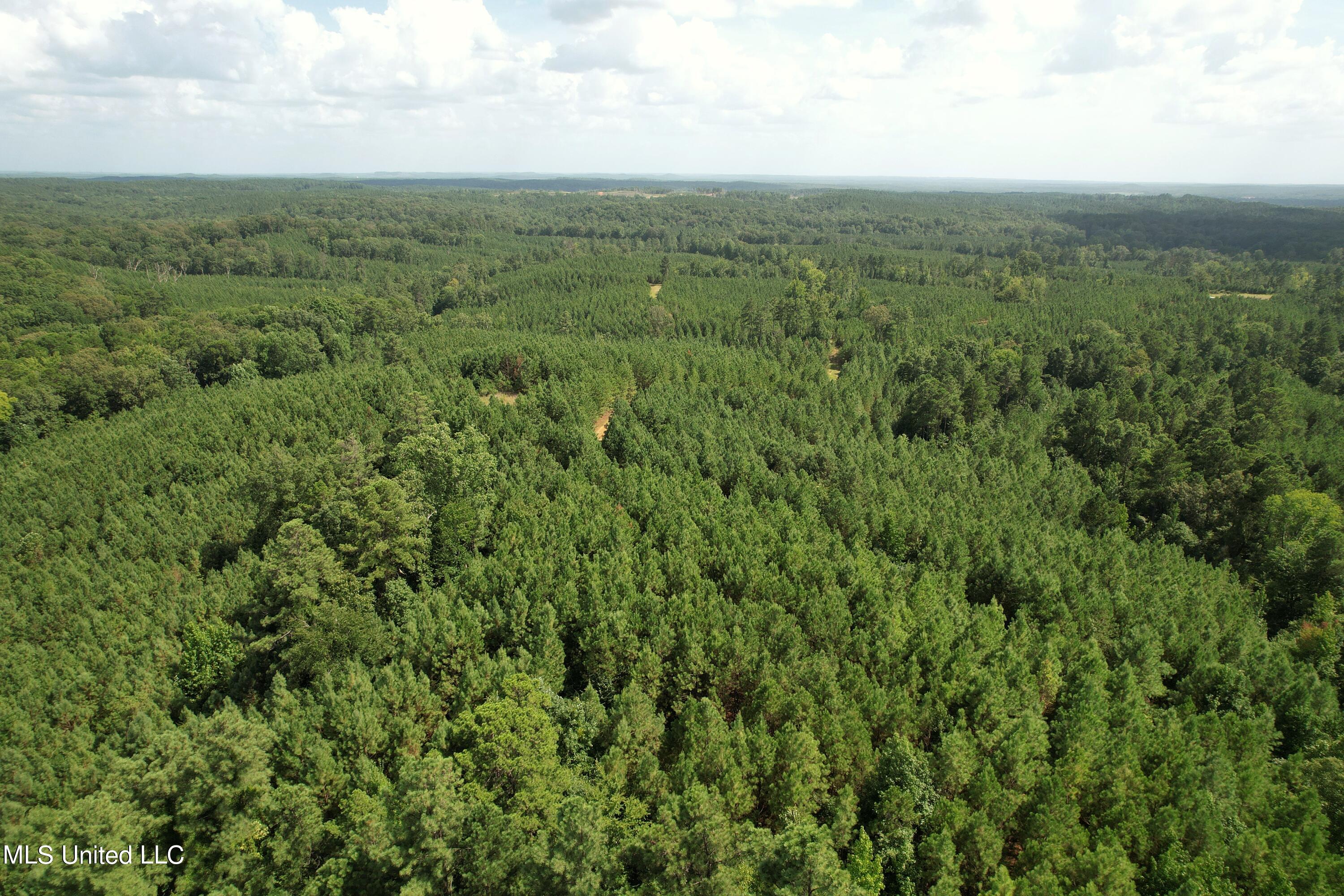 1832 Fort Hill Road Grenada, MS 38901 - Photo 15 of 41 DJI_0754 (3)