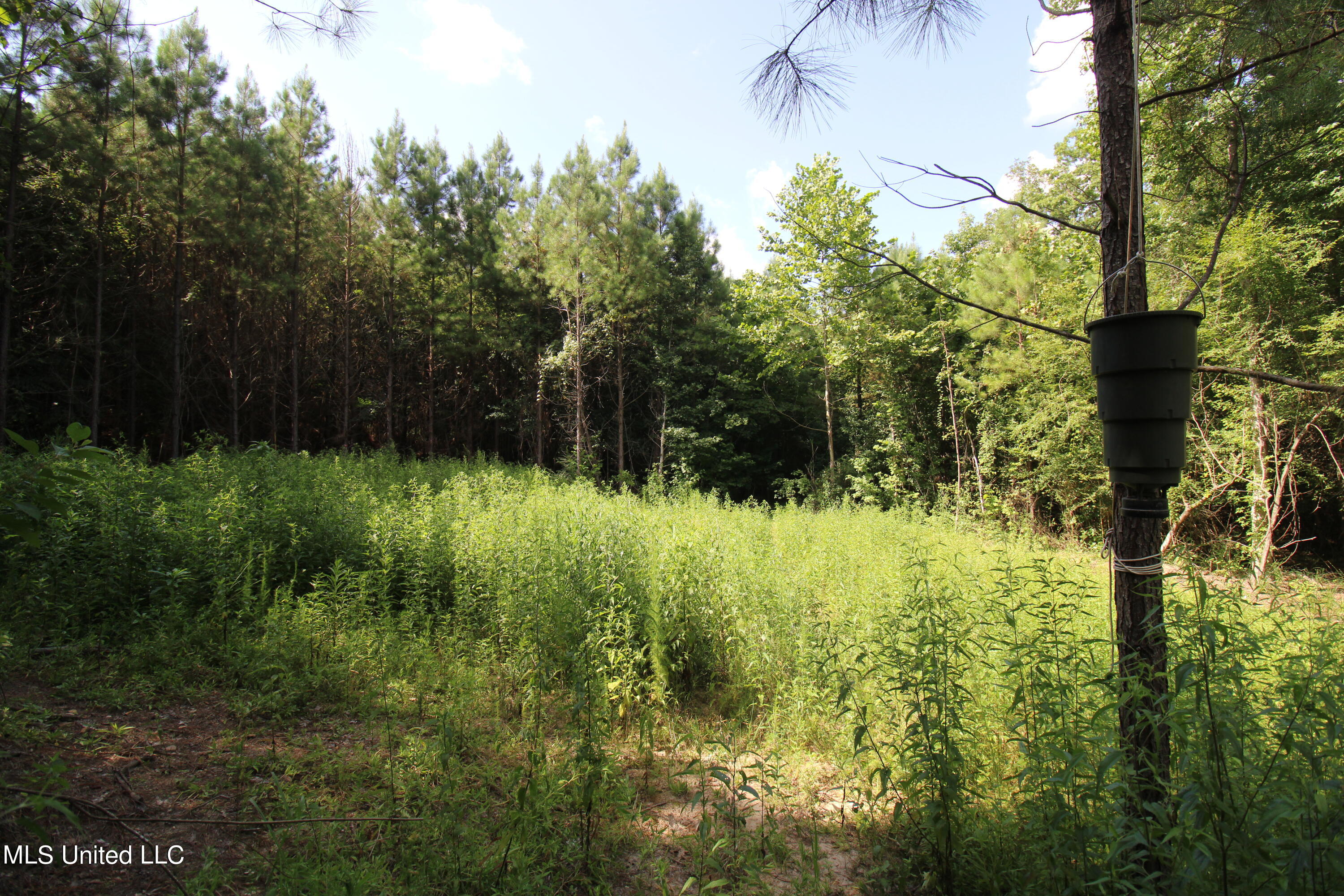 1832 Fort Hill Road Grenada, MS 38901 - Photo 16 of 41 IMG_2487