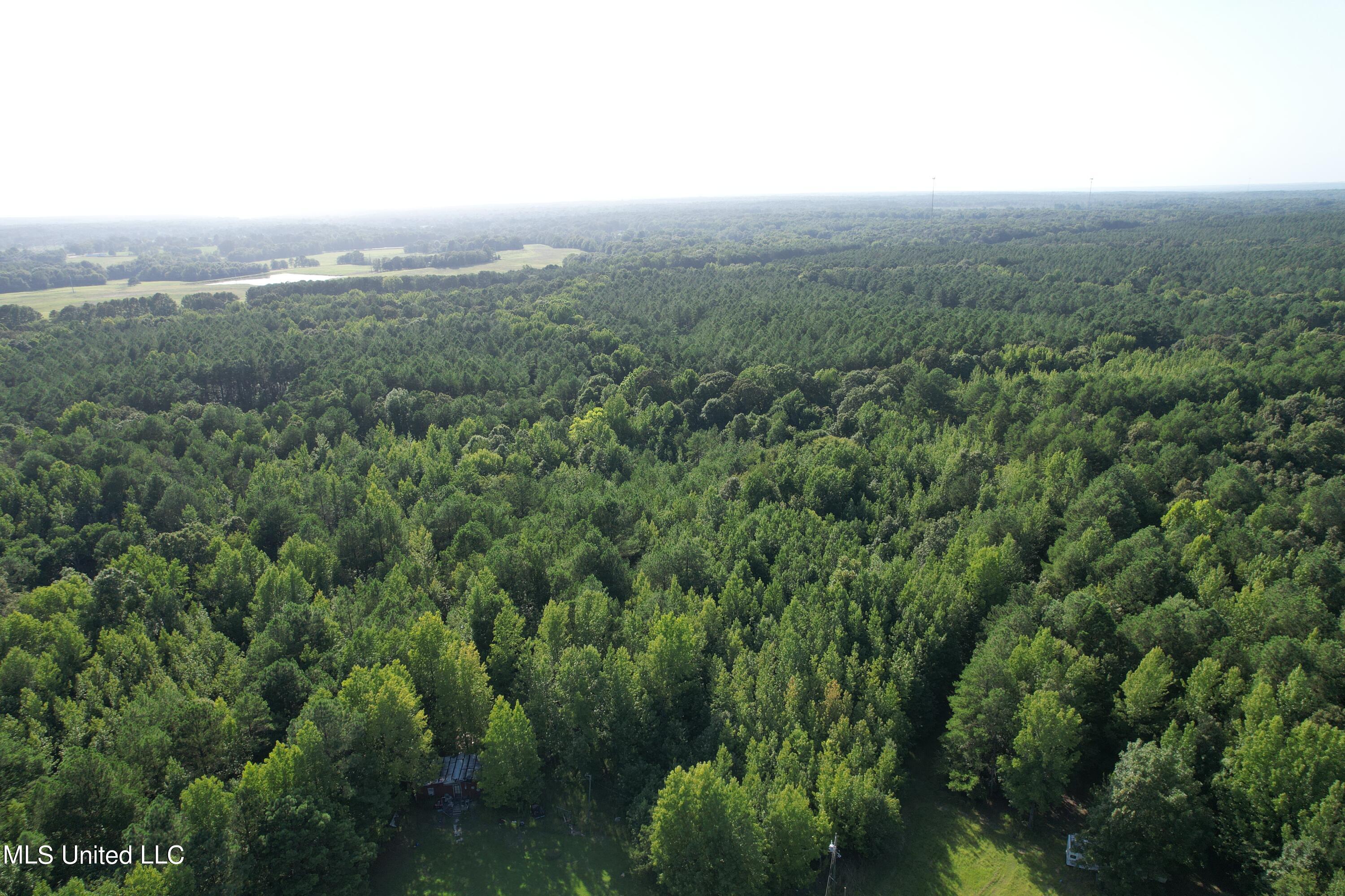 1832 Fort Hill Road Grenada, MS 38901 - Photo 18 of 41 DJI_0757