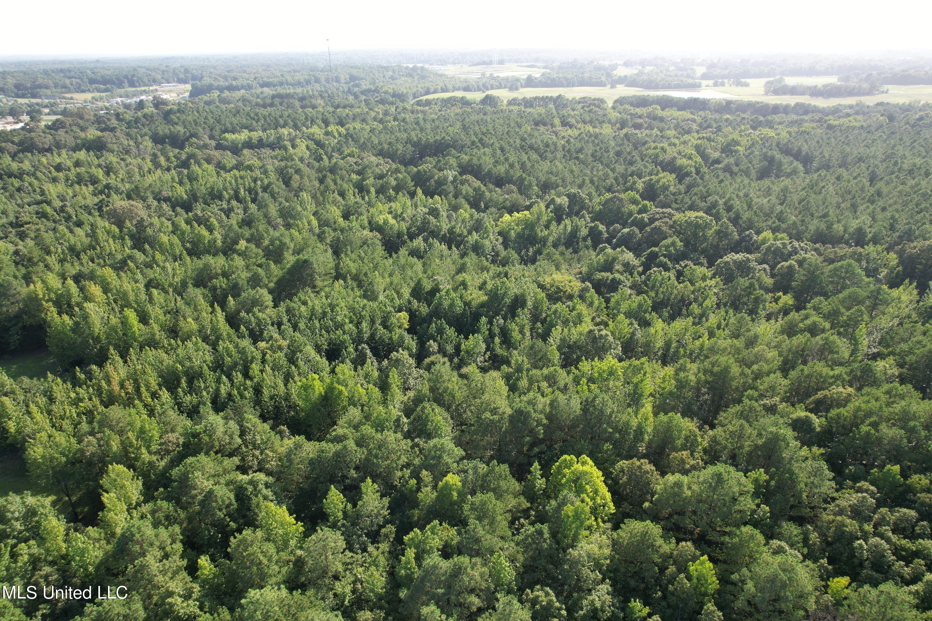 1832 Fort Hill Road Grenada, MS 38901 - Photo 19 of 41 DJI_0758