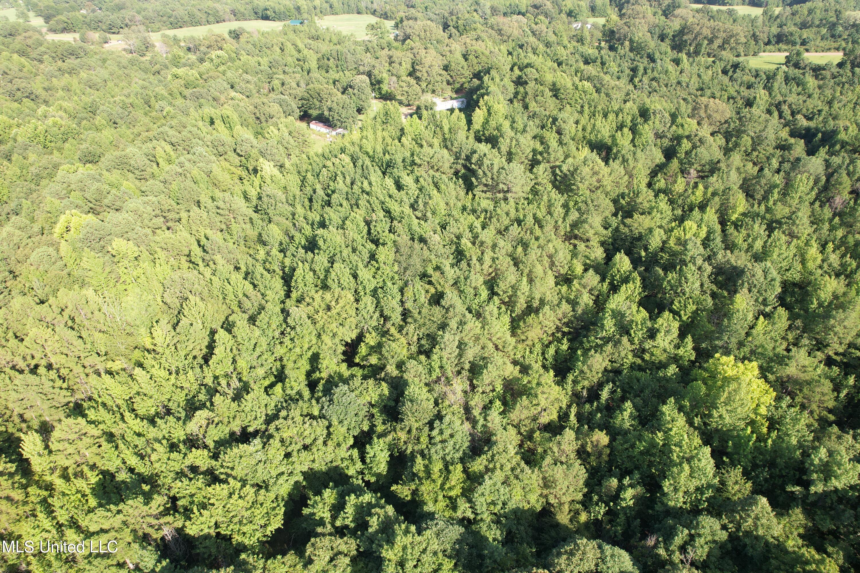1832 Fort Hill Road Grenada, MS 38901 - Photo 23 of 41 DJI_0760