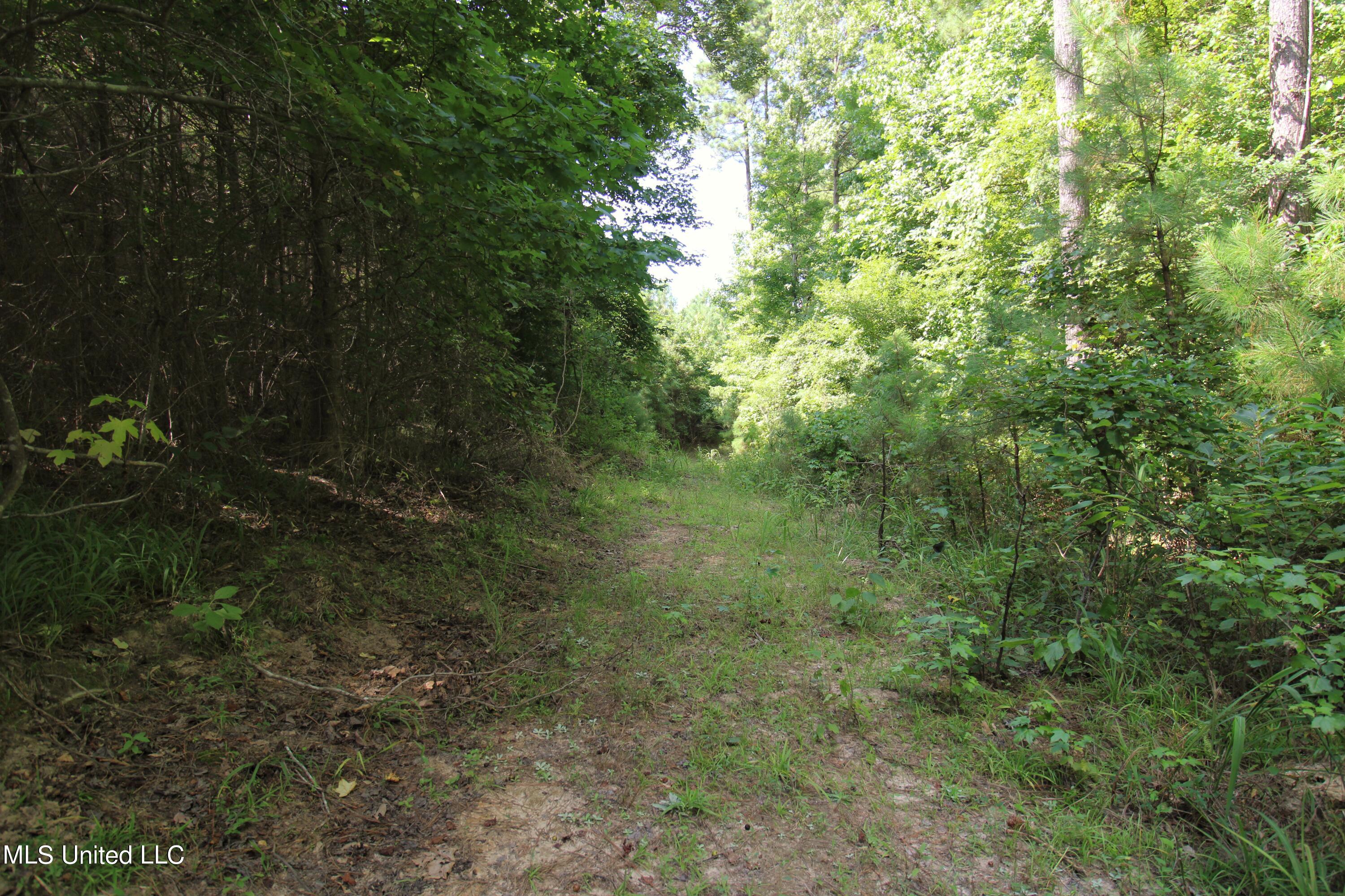 1832 Fort Hill Road Grenada, MS 38901 - Photo 24 of 41 IMG_2489